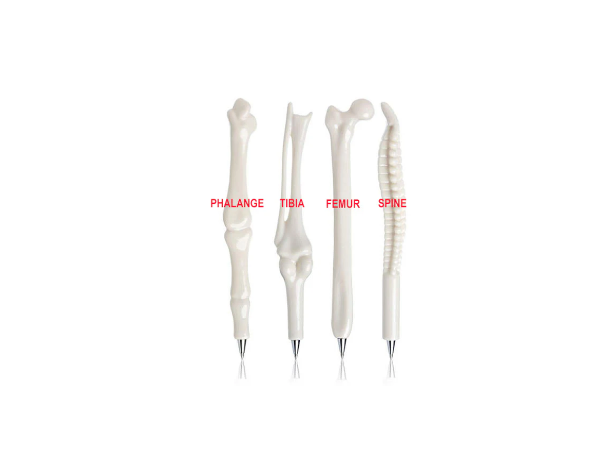 Pen Bone Questacon