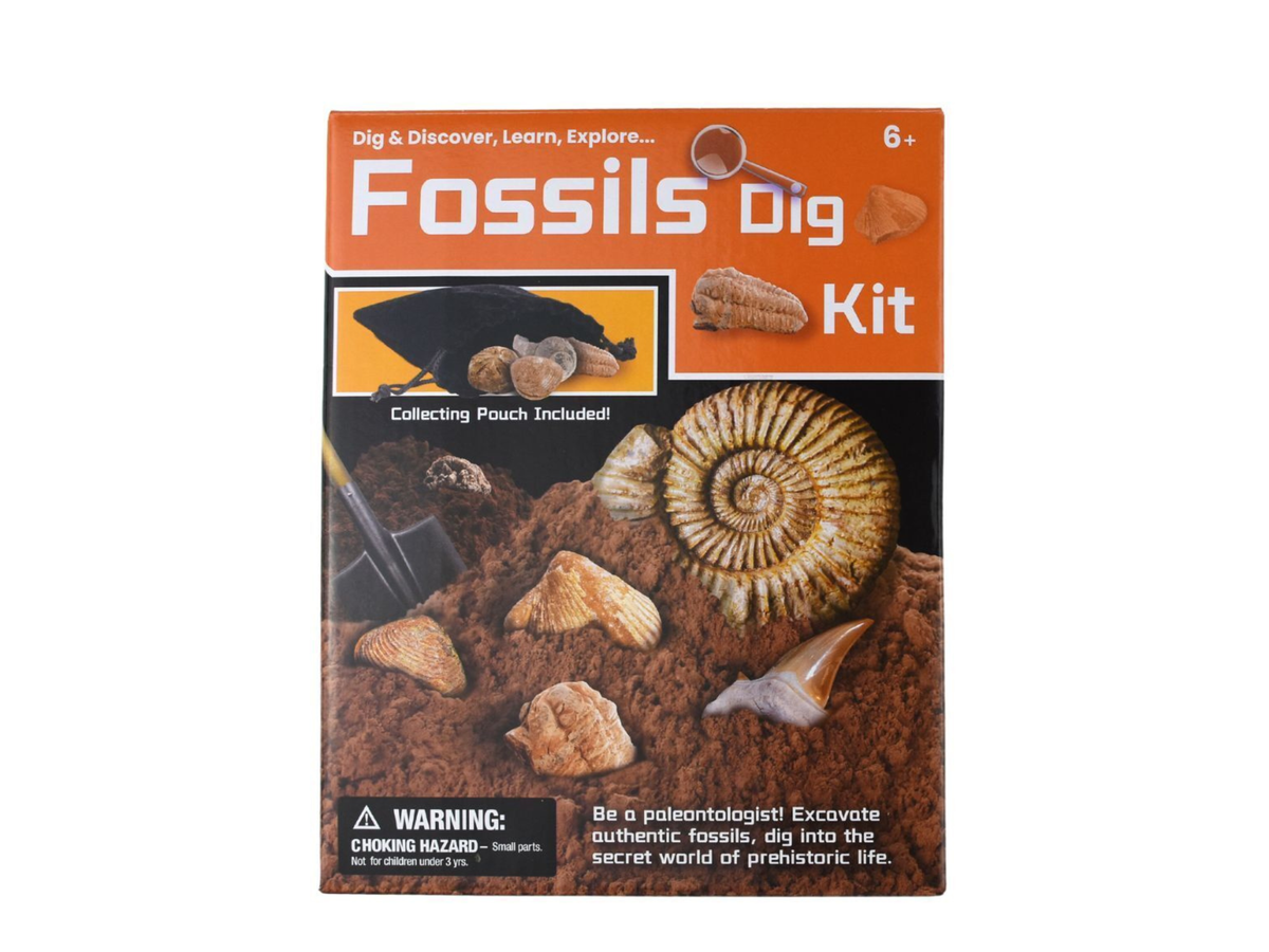 Fossil Dig Kit Kurious Kidz