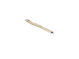 Pen Bone Questacon