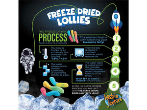 Freeze Dried Sour Worms Small 20g