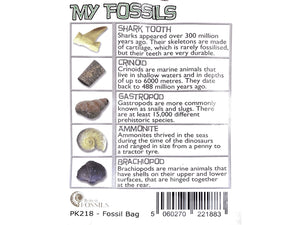 My Fossil Collection (Bag)