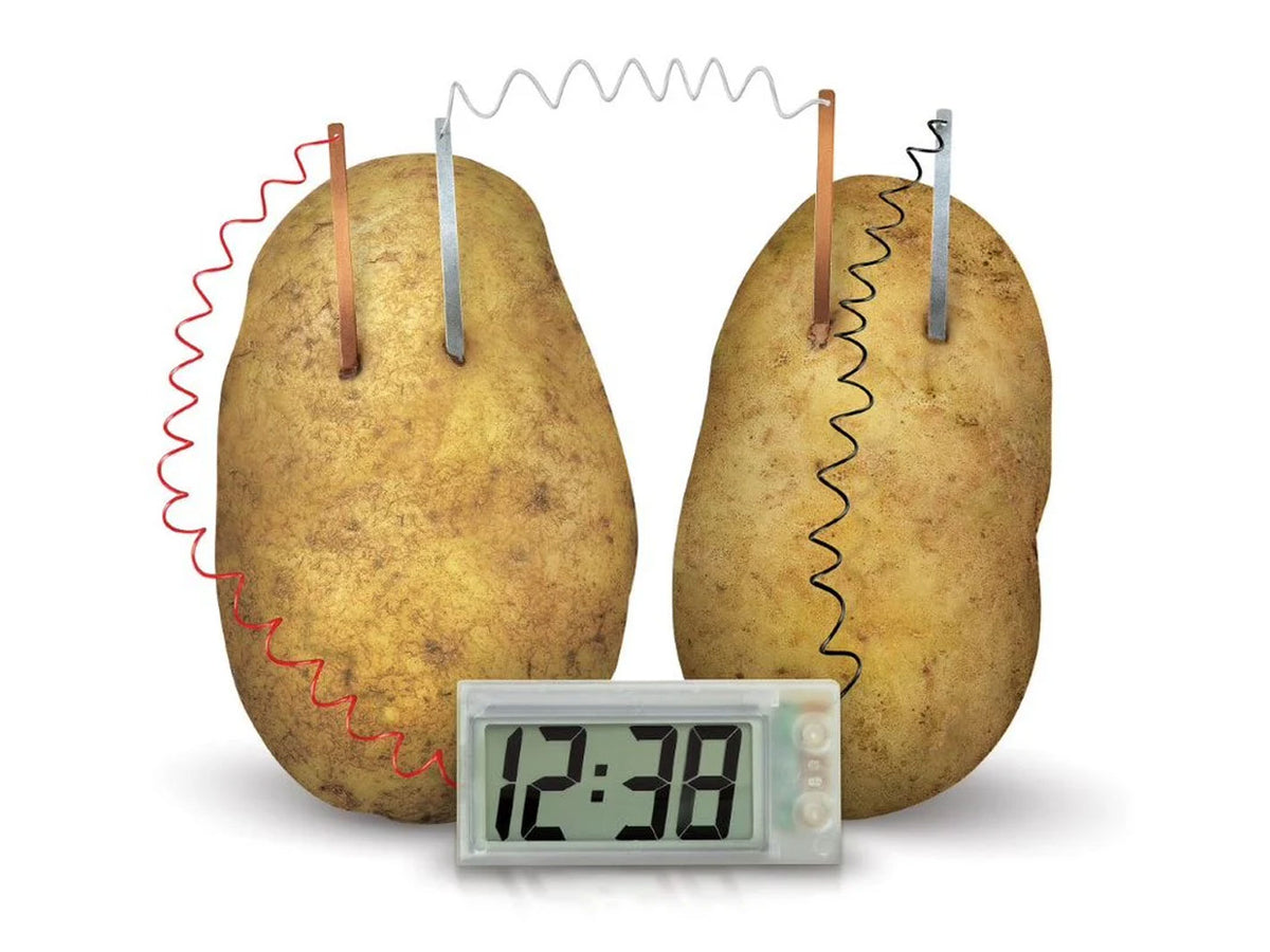 Green Science Potato Clock