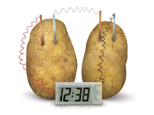 Green Science Potato Clock