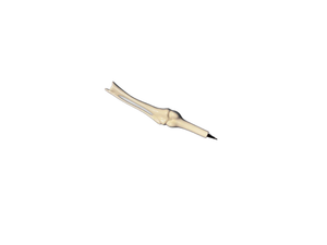 Pen Bone Questacon