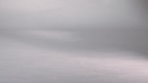 Chocolate Asteroids Questacon