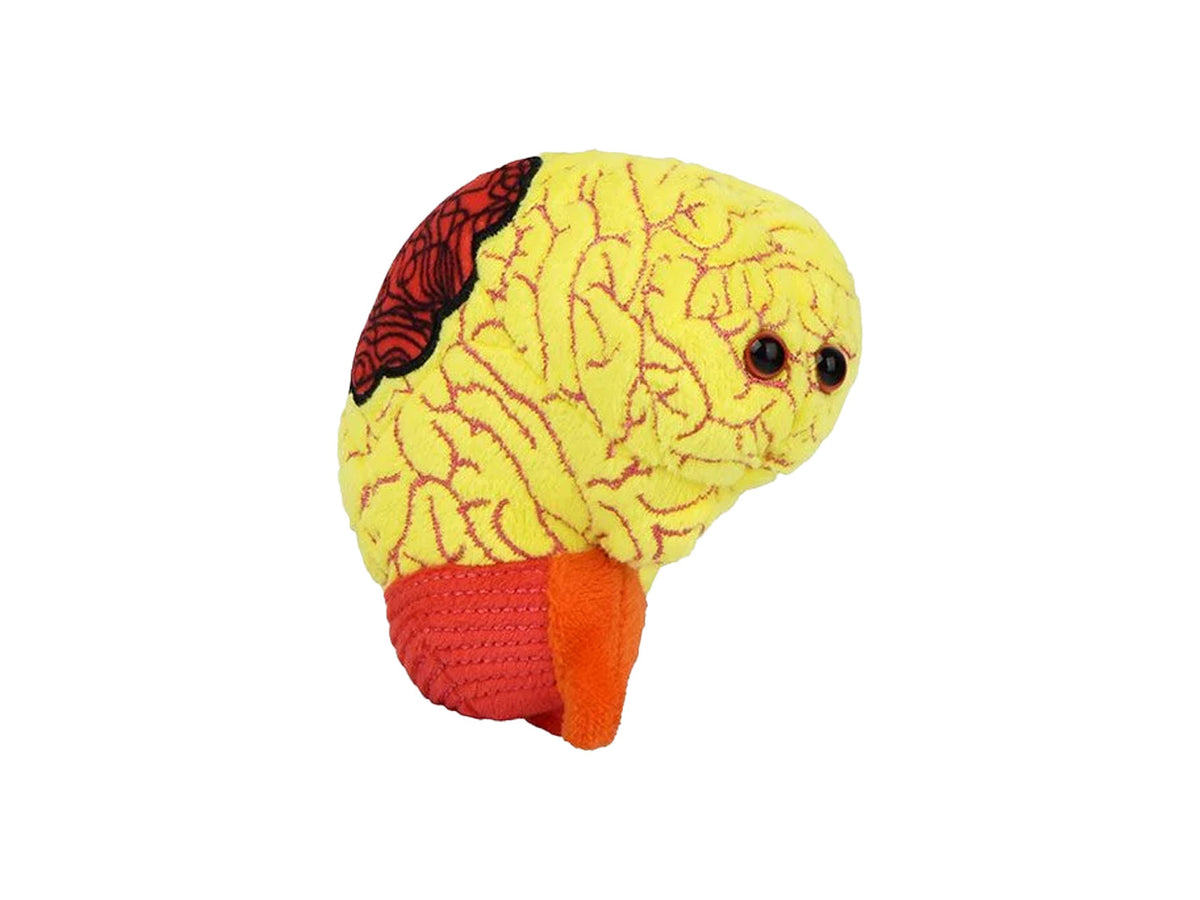 GIANTmicrobes Anxiety Brain