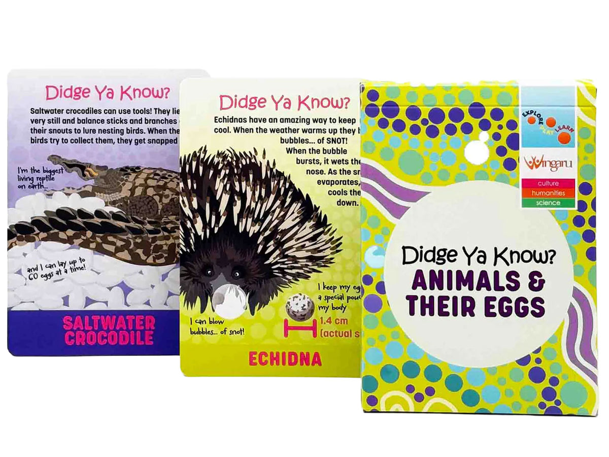 Didge Ya Know? Animals & Their Eggs Cards