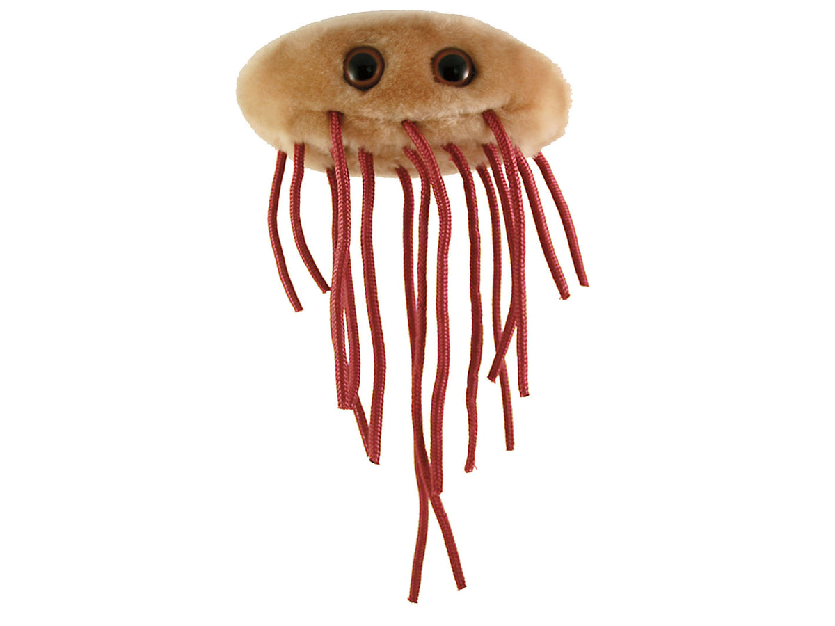 E. Coli Giant Microbe