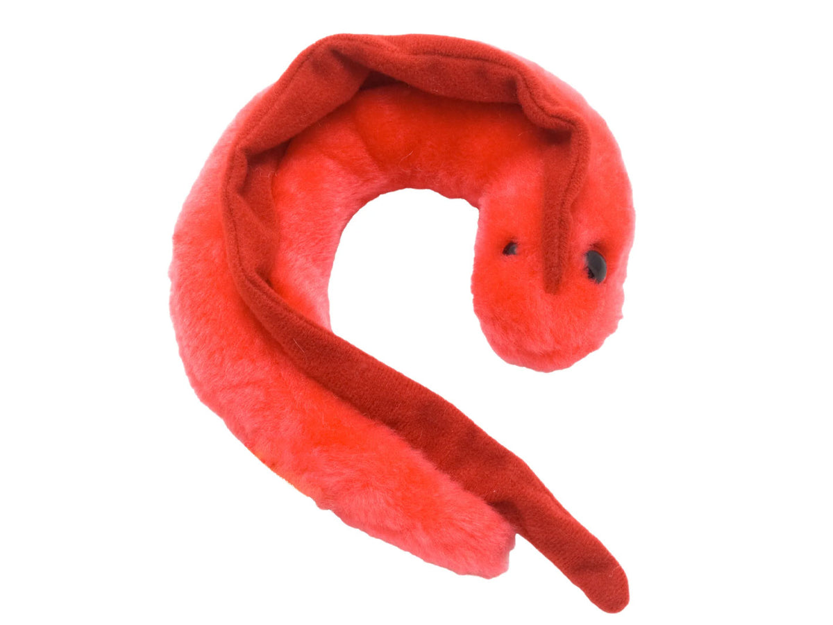 GIANTmicrobes Chagas