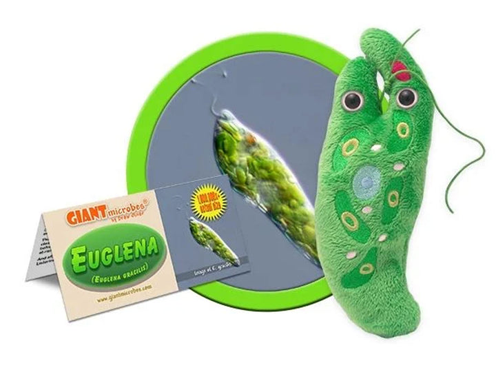 GIANTmicrobes Euglena