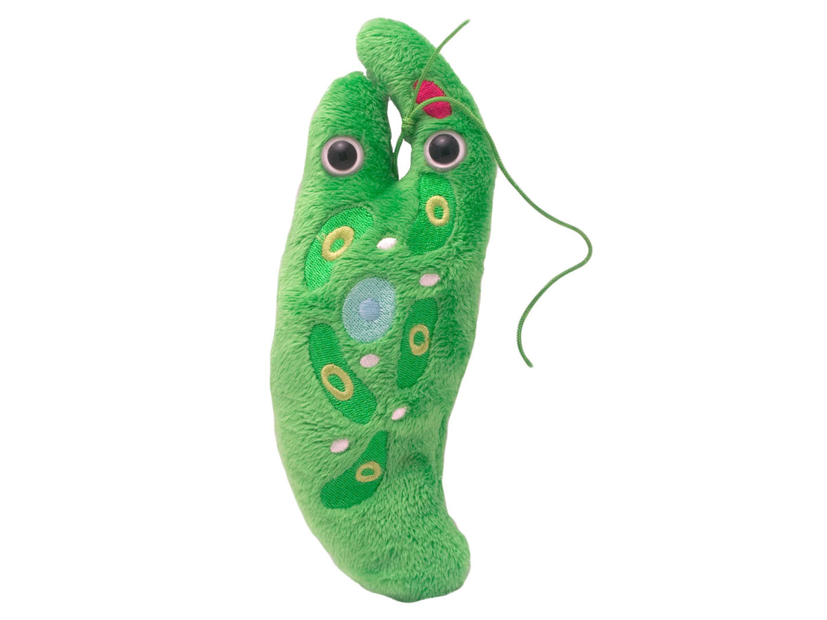 GIANTmicrobes Euglena