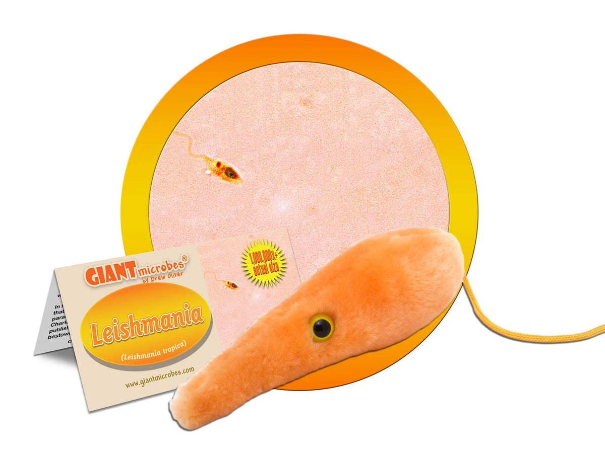 GIANTmicrobes Leishmania