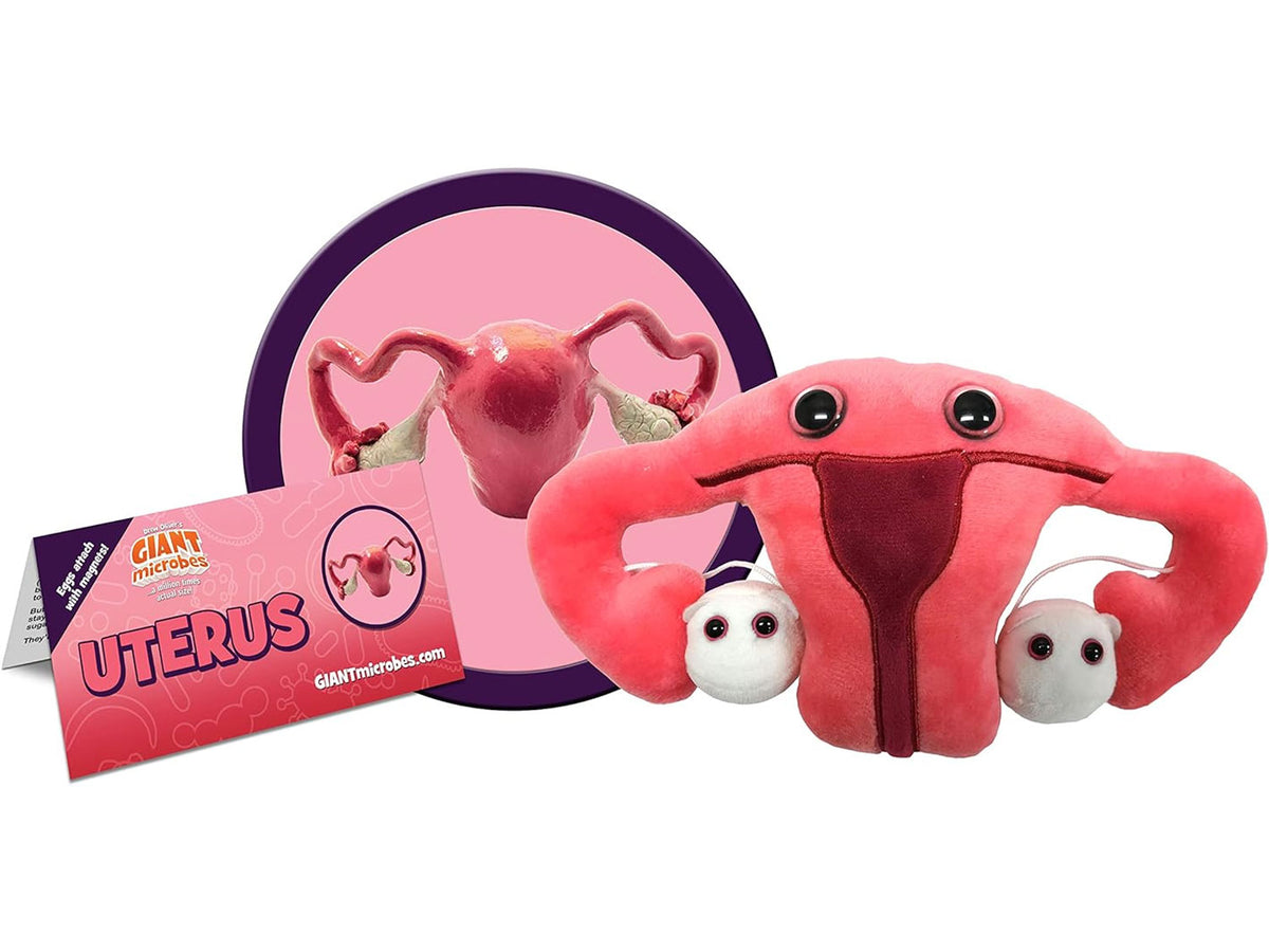 GIANTmicrobes Uterus