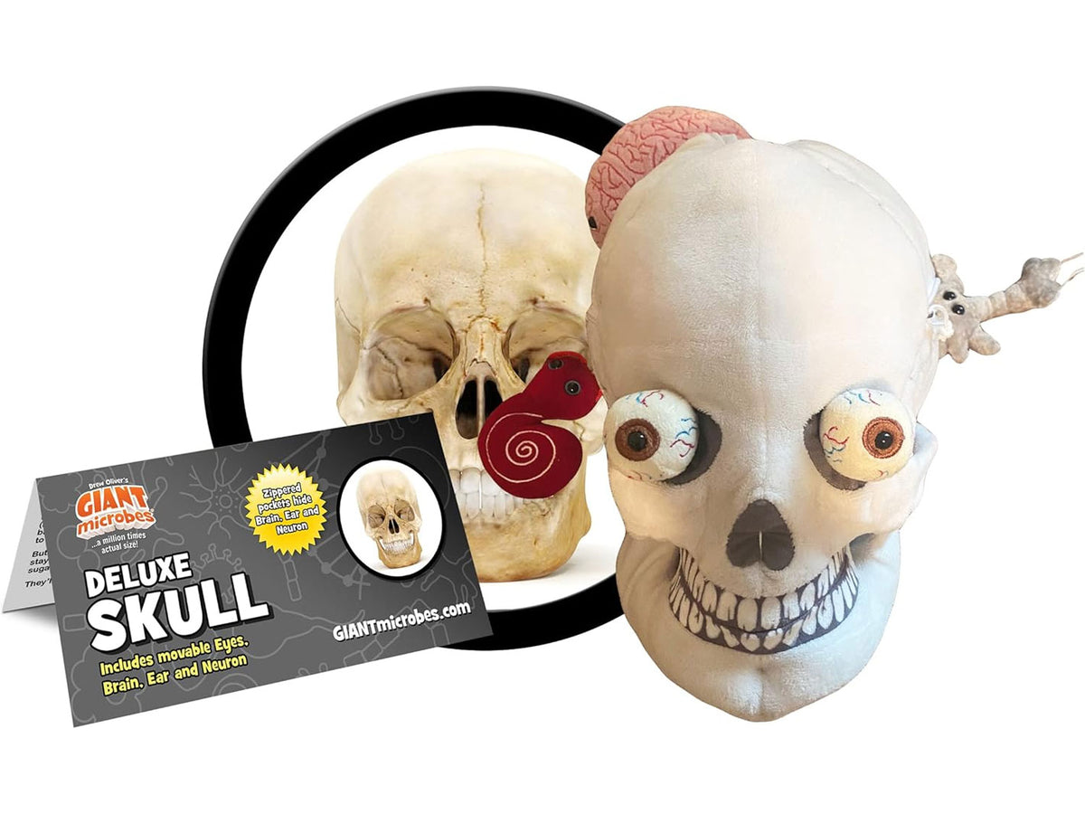 GIANTmicrobes XL Skull