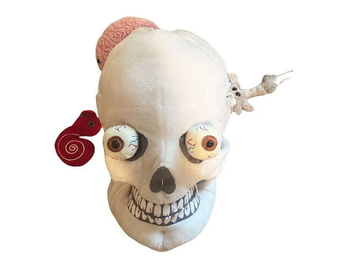 GIANTmicrobes XL Skull