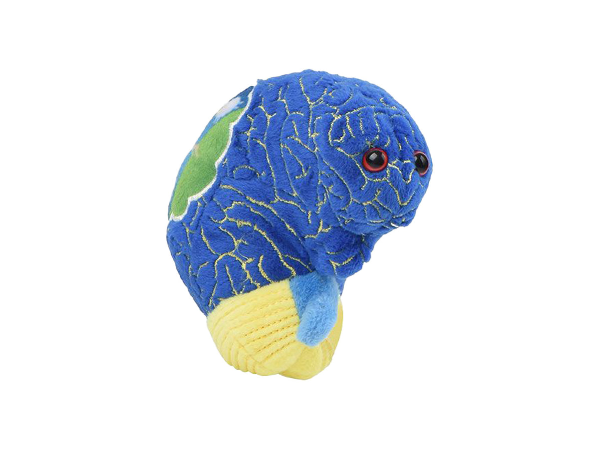 GIANTmicrobes Insomnia Brain