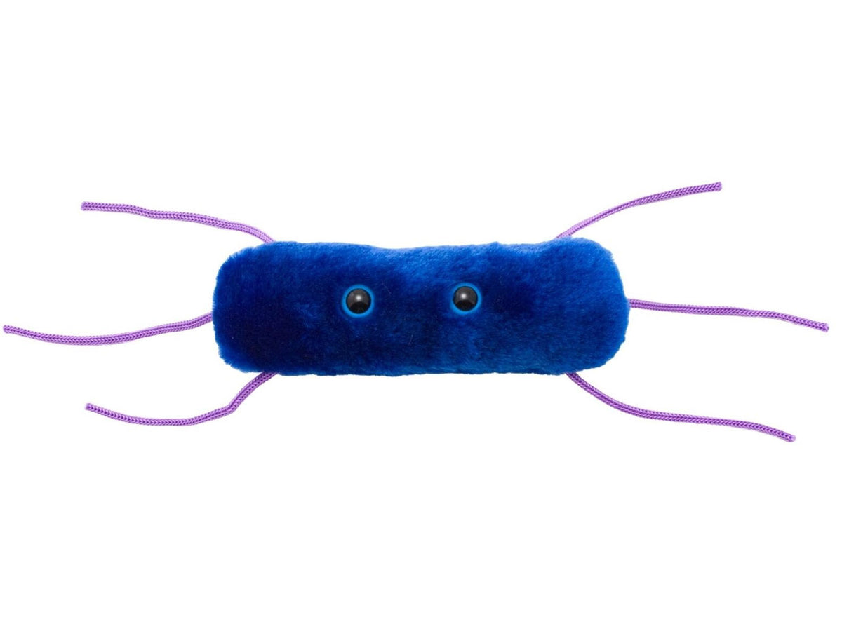 GIANTmicrobes Listeria