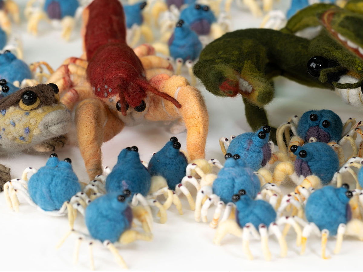 Questacon Mangroves Felting Workshop with Melanie Tribe