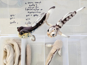 Questacon Mangroves Felting Workshop with Melanie Tribe