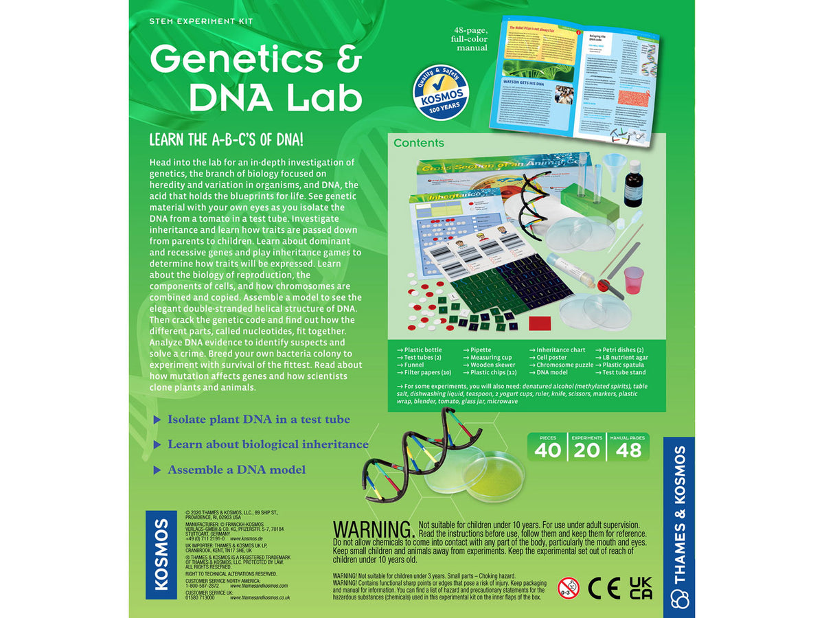 Genetics And Dna