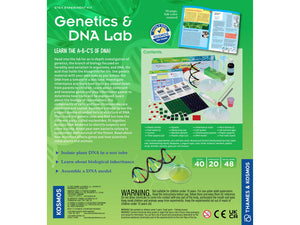 Genetics And Dna