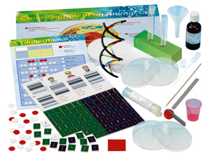 Genetics And Dna