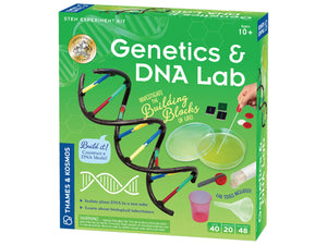 Genetics And Dna