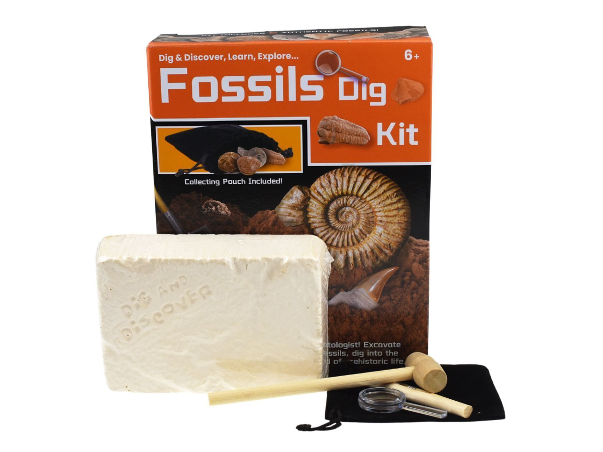 Fossil Dig Kit Kurious Kidz