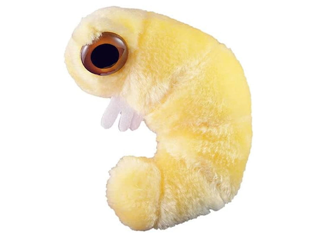 GIANTmicrobes Bookworm