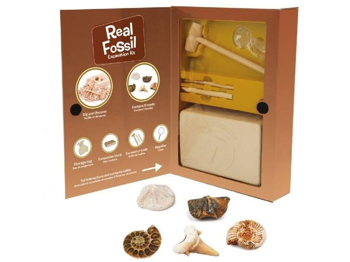 Real Fossil Dig Kit Magnoids