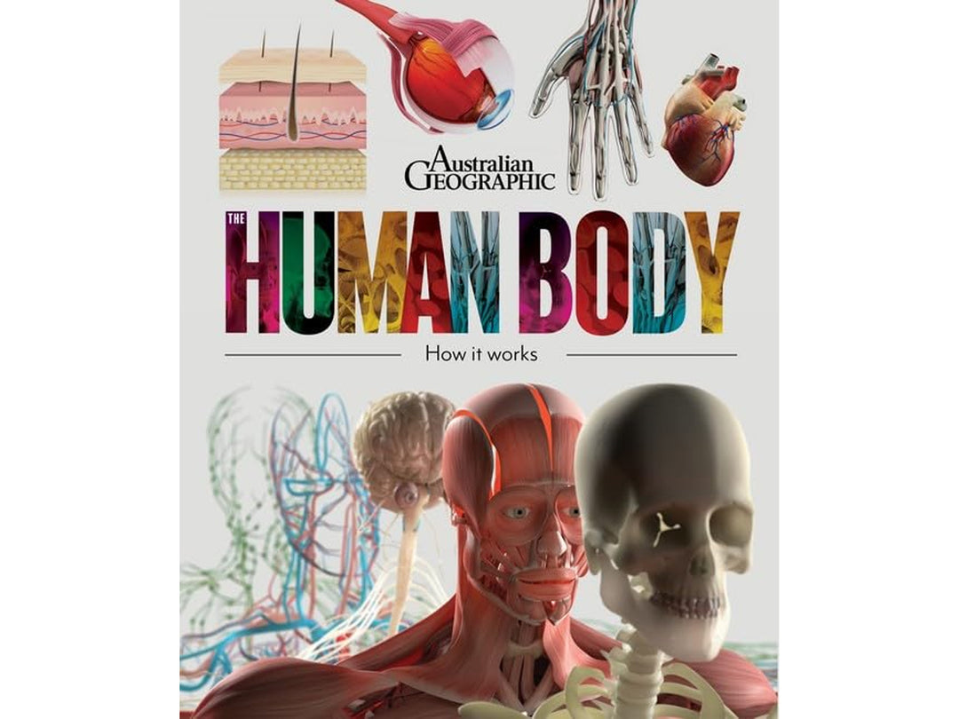 The Human Body - How it works