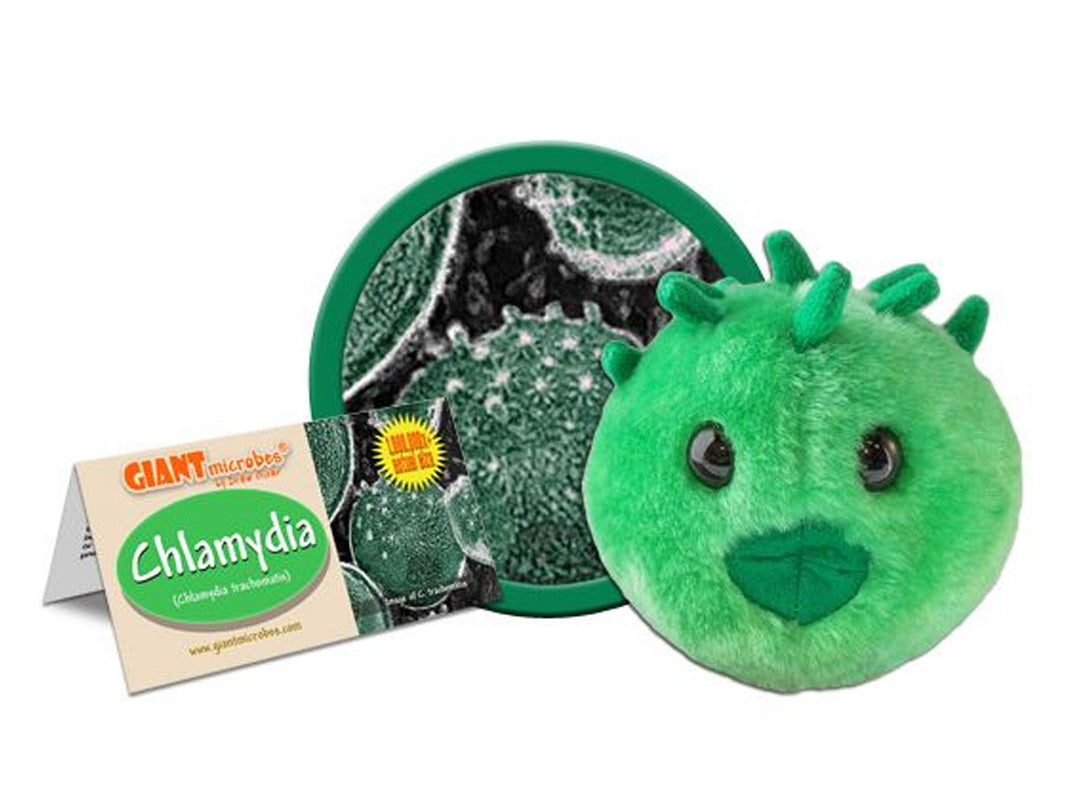 GIANTmicrobes Chlamydia