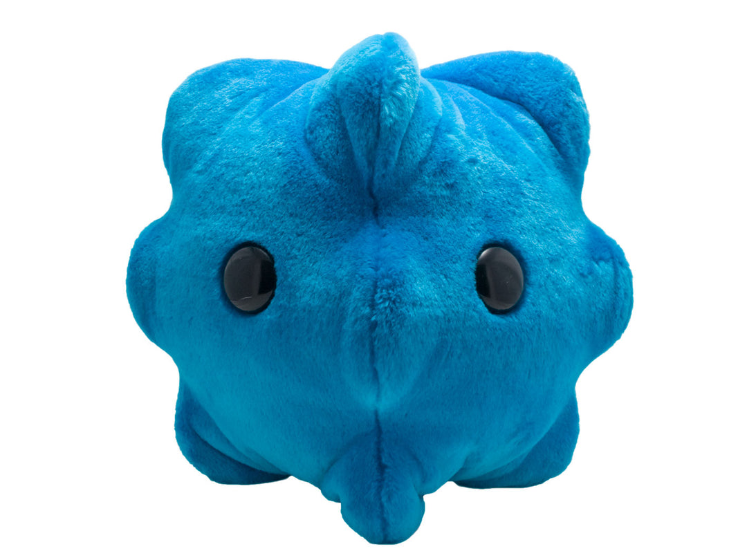 GIANTmicrobes Common Cold