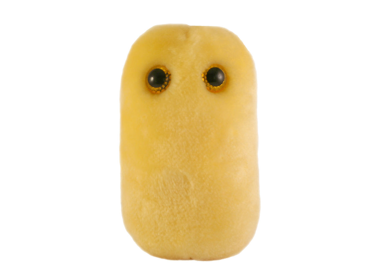 GIANTmicrobes Cough