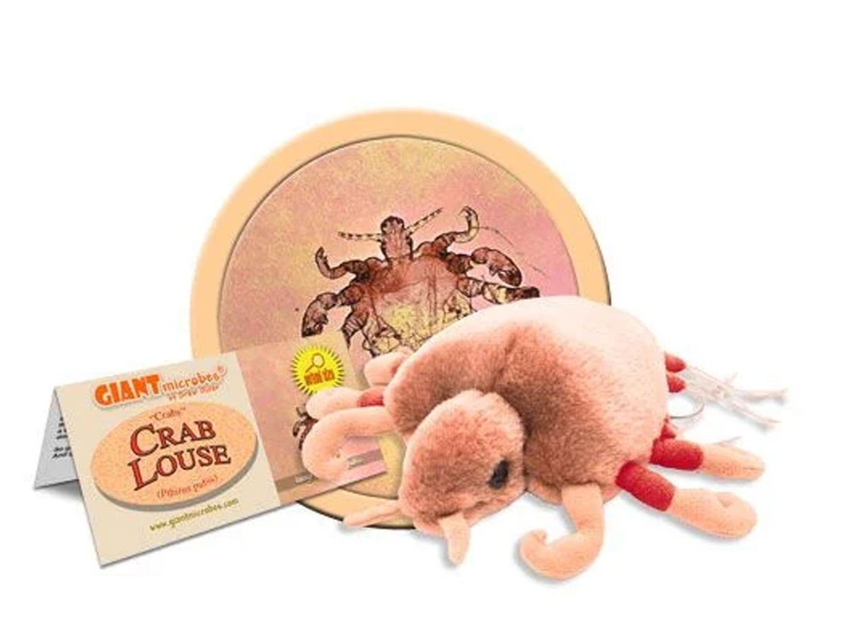 GIANTmicrobes Crab Louse