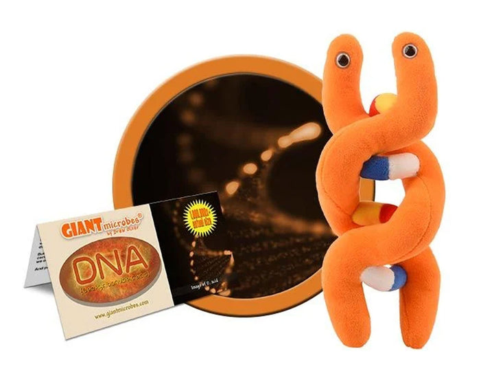 GIANTmicrobes DNA