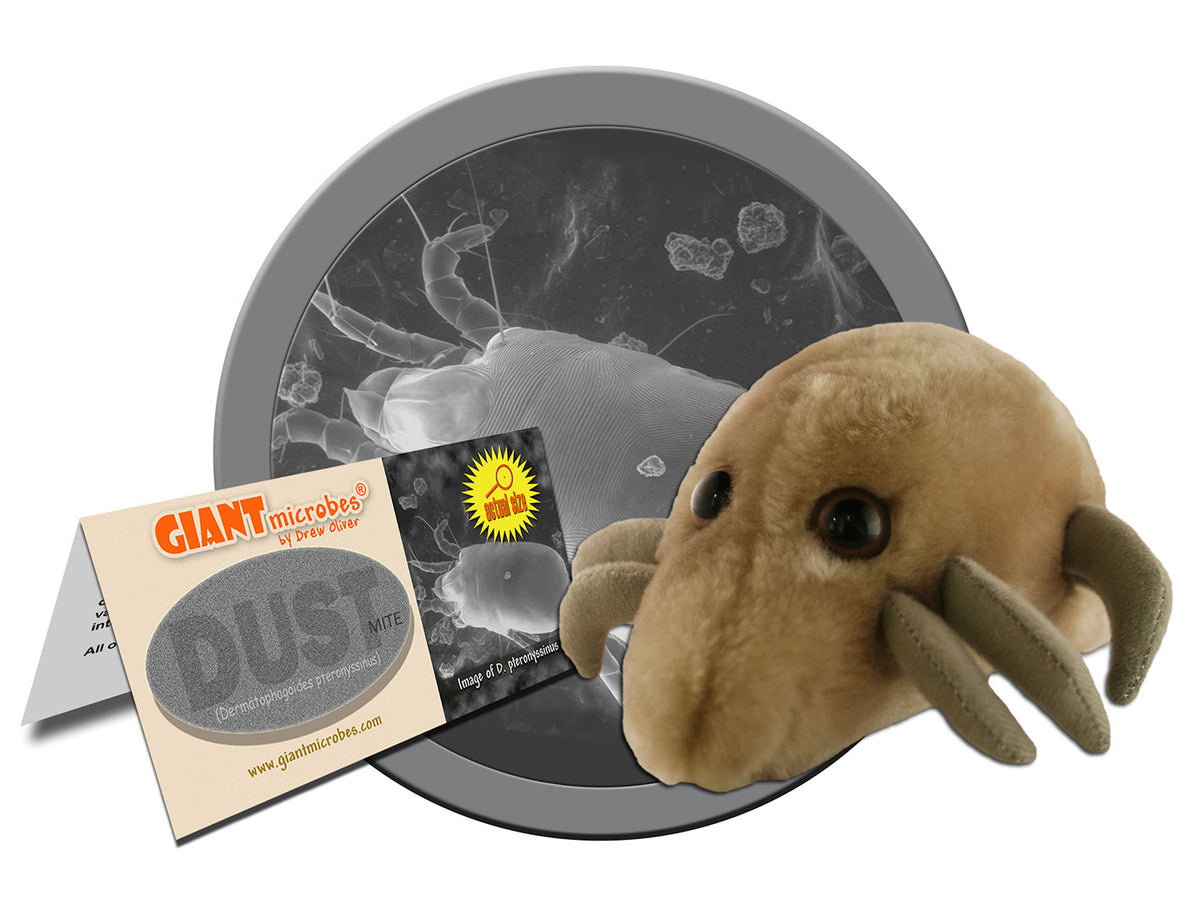 GIANTmicrobes Dust Mite