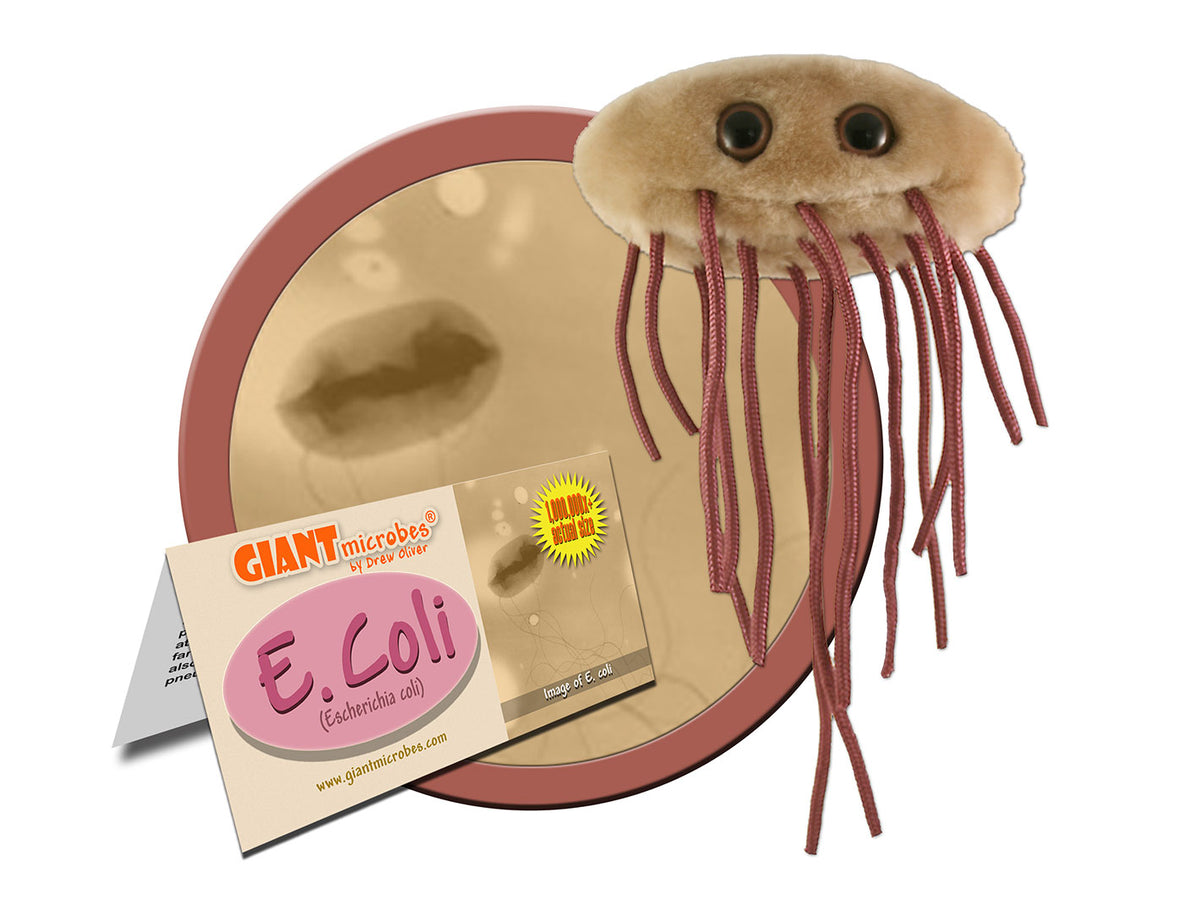 GIANTmicrobes E. Coli