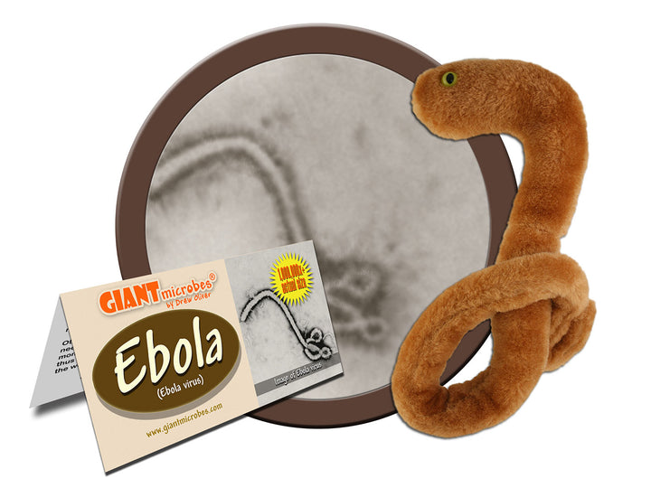GIANTmicrobes Ebola