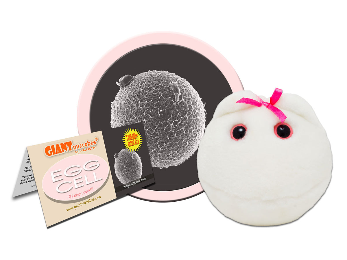 GIANTmicrobes Egg Cell