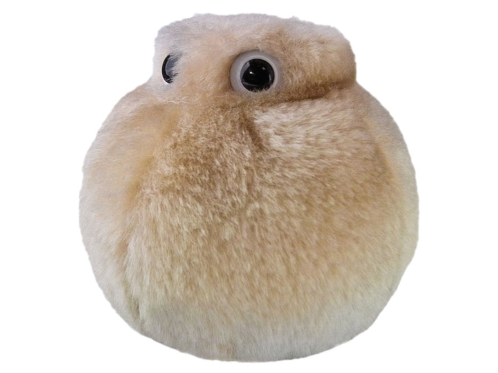 GIANTmicrobes Fat Cell