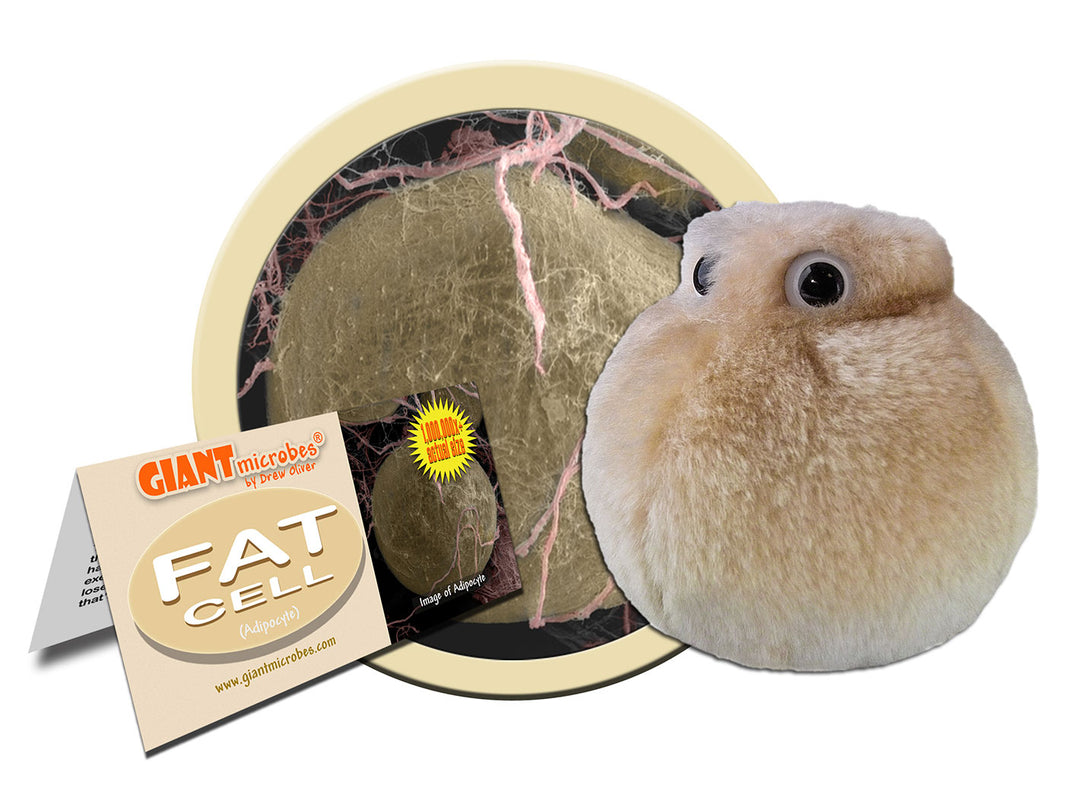 GIANTmicrobes Fat Cell