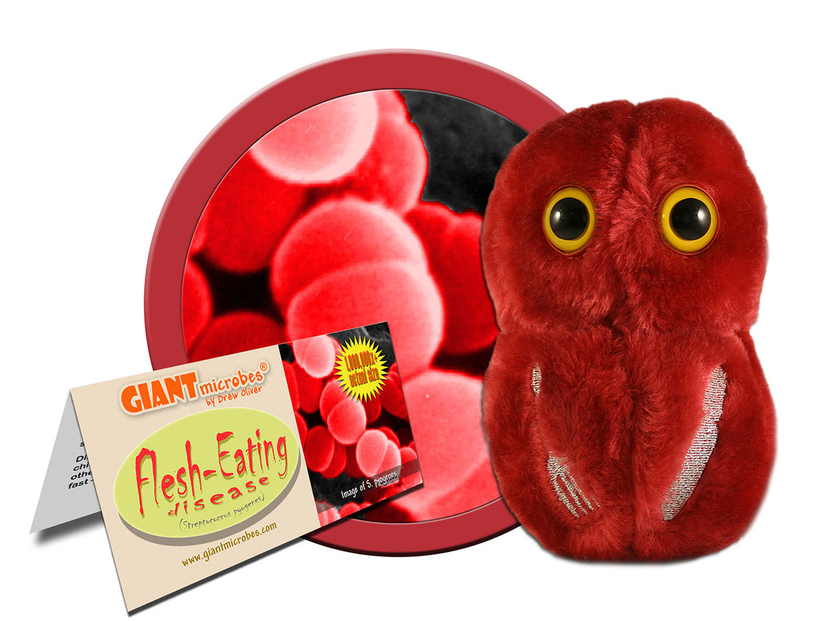 GIANTmicrobes Flesh-Eating Disease