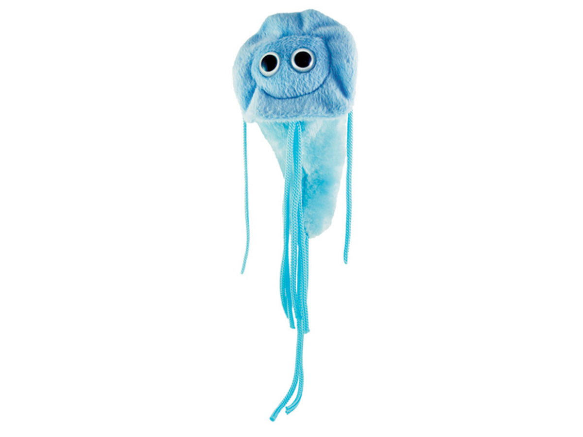 GIANTmicrobes Giardia