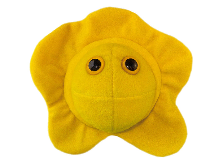 GIANTmicrobes Herpes