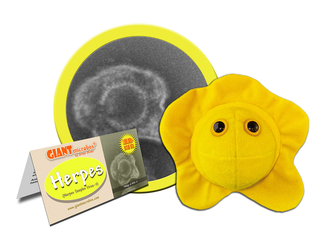 GIANTmicrobes Herpes