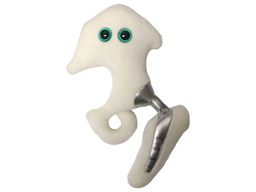 GIANTmicrobes Hip Replacement