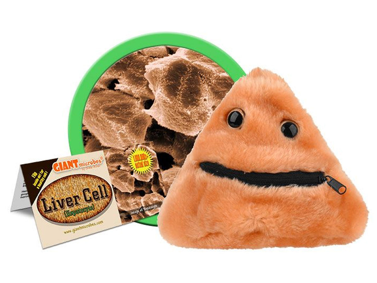 GIANTmicrobes Liver Cell