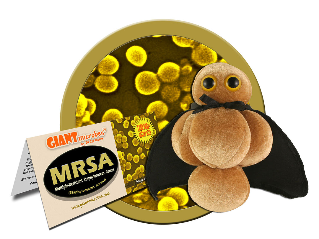 GIANTmicrobes MRSA