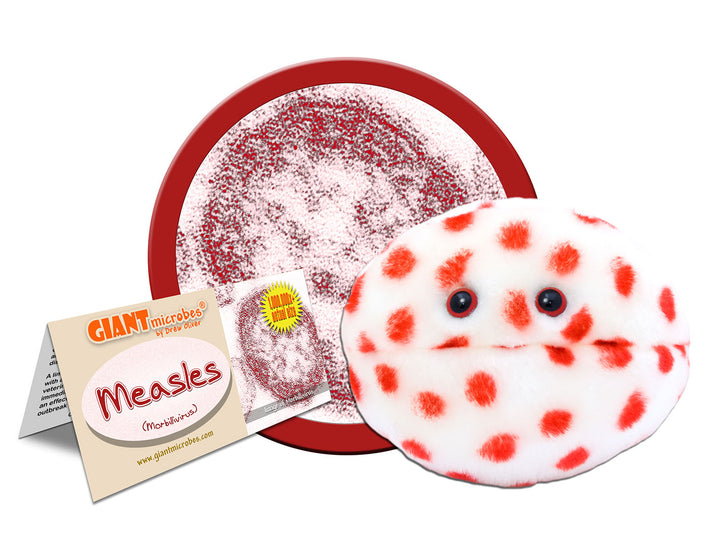 GIANTmicrobes Measles